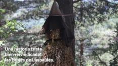 Una historia triste bien reivindicada: las brujas de Laspaúles