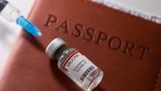 FILE PHOTO: A syringe and a vial labelled "coronavirus disease (COVID-19) vaccine" are placed on a passport in this illustration picture