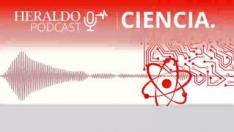 Podcast Heraldo | Materiales biodegradables, ¿hasta qué punto?