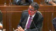 El diputado Antonio Romero defendió la propuesta del PP con una mascarilla de la plataforma contra el lobo y el oso de Aragón.