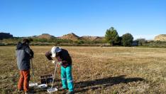 La superficie ocupada por el cultivo de cereal ecológico en Aragón supera las 22.000 hectáreas.