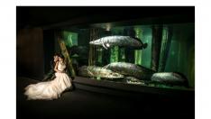 Imagen de unos novios en el Acuario de Zaragoza.