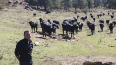 Bullz1
