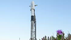 El cohete de SpaceX, Falcon 9, que lleva la nave de Prueba de Redireccionamiento del Asteroide Doble (DART).