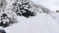 Nieve en El Vallecillo