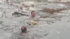 Dos guardias civiles rescatan a un perro de una balsa helada en Badaguás