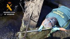 Un guardia civil recoge muestras del arroyo La Miguelina de Ejea de los Caballeros.