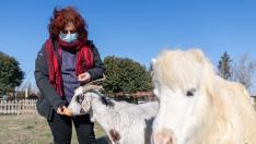 GRANJA ESCUELA TORREV (40506321)