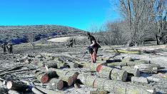 Una mujer trocea las ramas cortadas a un sauce centenario en Fuentes Calientes el pasado mes de enero.