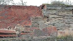 Parte del tramo derrumbado de la muralla, de 13 metros.