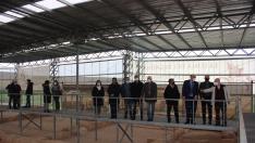 Visita institucional al yacimiento romano de la Loma del Regadio, en Urrea de Gaén.