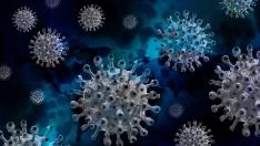 La OMS alerta de nuevas variantes del virus SARS-CoV-2. Covid. gsc