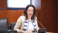 La diputada del PP Mamen Susín, ha defendido este lunes la propuesta de rebaja fiscal ante la comisión de Hacienda de las Cortes.