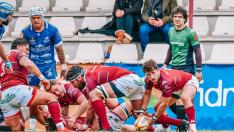 El Club Alcobendas Rugby de División de Honor.