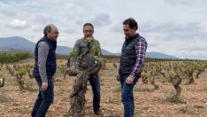 Bodegas Aragonesas.