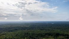 Vista aérea de la selva amazónica en una zona fronteriza entre Brasil y Colombia.