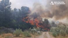 Incendio forestal en Nonaspe.