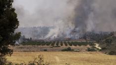 Incendio en Nonaspe (Zaragoza) este viernes. El fuego avanza sin control y ya ha arrasado 1.700 hectáreas.