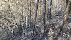 Incendio en Graus este sábado