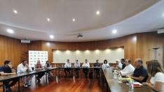 Una imagen de la reunión de la ejecutiva de Adelpa celebrada este lunes en la Diputación de Huesca.
