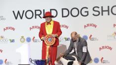 Funfair Foxhouse ha competido con más de 16.500 perros de más de 250 razas procedentes de los cinco continentes.