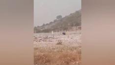 El granizo causa graves daños en cultivos de la zona norte de Los Monegros