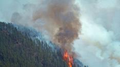 El incendio forestal que comenzó el jueves en Tenerife ha afectado ya a unas 2.000 hectáreas
