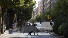 Comienzan las obras en la avenida de Madrid.