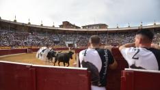 Tradicional becerrada de las peñas de San Lorenzo en Huesca