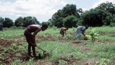Hombre y mujer bantú trabajando en los campos cerca de Kismayo en Somalia, en una imagen de archivo
