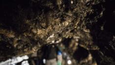 La Cueva del Agua en Fuentespalda. gsc
