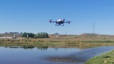 La prueba de siembra de arroz con drones de Atria Arroceros de Huesca, junto con la Red Arax, se llevo a cabo el pasado 10 de junio en una parcela de la localidad oscense de Alcolea de Cinca.