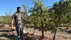 Fernando Júdez, fruticultor de 29 años, y José Manuel Casado, agricultor y ganadero de 52, confían en salir adelante a pesar del rastro dejado por el fuego