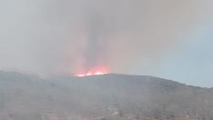Incendio forestal en Oliete