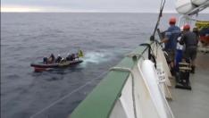 Pescador asaltado por Geenpeace: "Ha sido un acto de piratería"