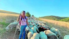 La ganadera Judit Ballarín durante la trashumancia junto a sus 800 ovejas, que realiza entre los pueblos de Altorricón y Merli.