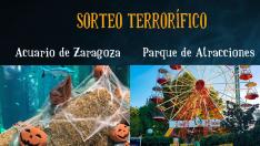 Te invitamos a vivir un Halloween diferente.