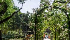 Imagen de archivo de la rosaleda del Parque Grande