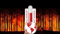 La tierra podría calentarse 2,5 grados más.