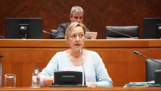 Marta Gastón, consejera de Economía, Planificación y Empleo, este martes en las Cortes.