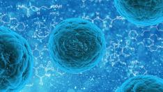 El hongo causa candidiasis.