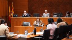 Sira Repollés, este jueves, durante su comparecencia para presentar el presupuesto de Sanidad en las Cortes de Aragón.