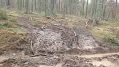 Las máquinas usadas para cortar los árboles dejan profundas huellas en el terreno mojado por la lluvia de las últimas semanas.