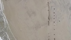 Apareció en la arena de la playa Daytona Beach