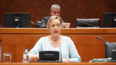 Imagen de la consejera de Economía Marta Gastón en las Cortes.