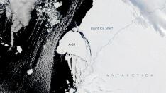 Iceberg