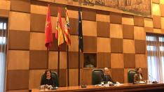 El Pleno del Ayuntamiento de Zaragoza celebrado hoy.