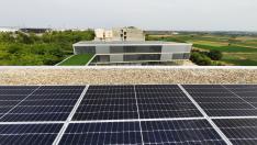 Placas solares del campus de la USJ.