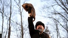La marmota Phil "predice" seis semanas más de invierno en Estados Unidos