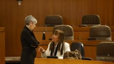 Fotos del Pleno de las Cortes de Aragón